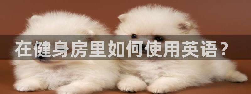 意昂4娱乐