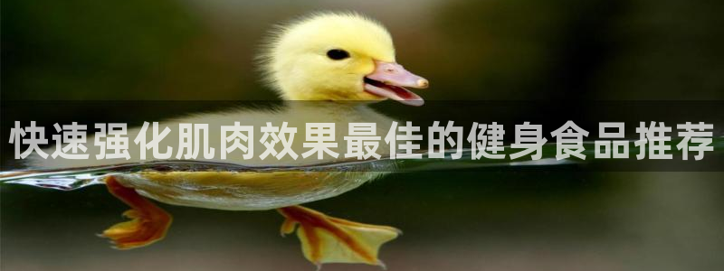 意昂4代理