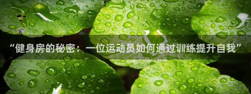 意昂4登录