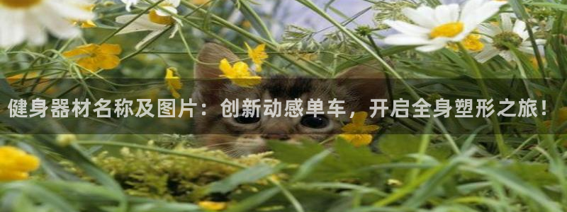 意昂4平台