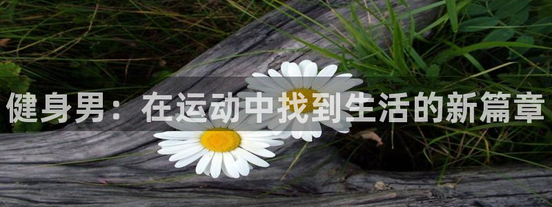 意昂4招商