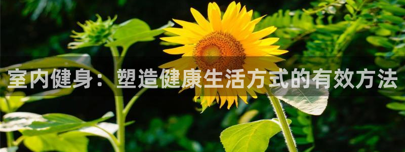 意昂4官方网站
