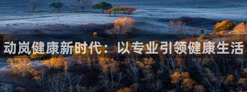 意昂4官方网站