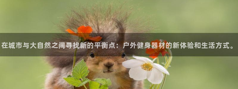 意昂4官方平台